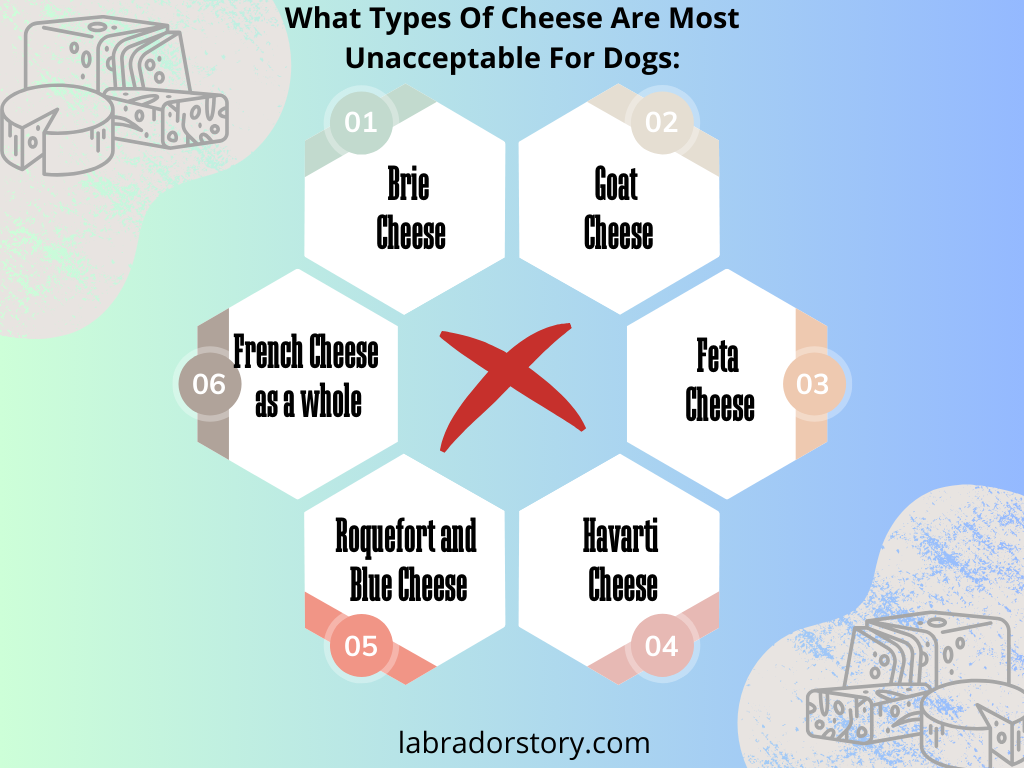 What Types Of Cheese Are Most Unacceptable For Dogs
