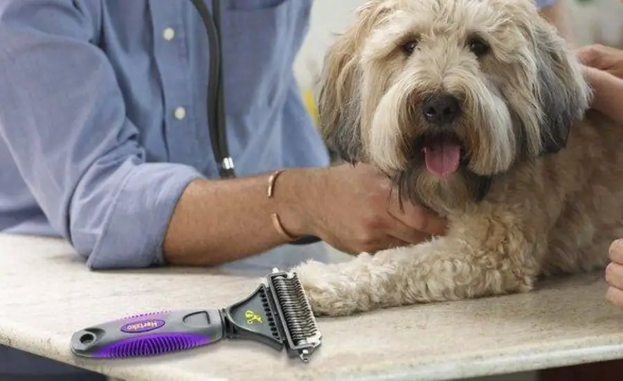 best brush for golden retrievers
