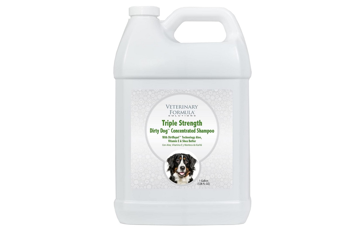 The best labrador shampoo: top-8 products for your dog