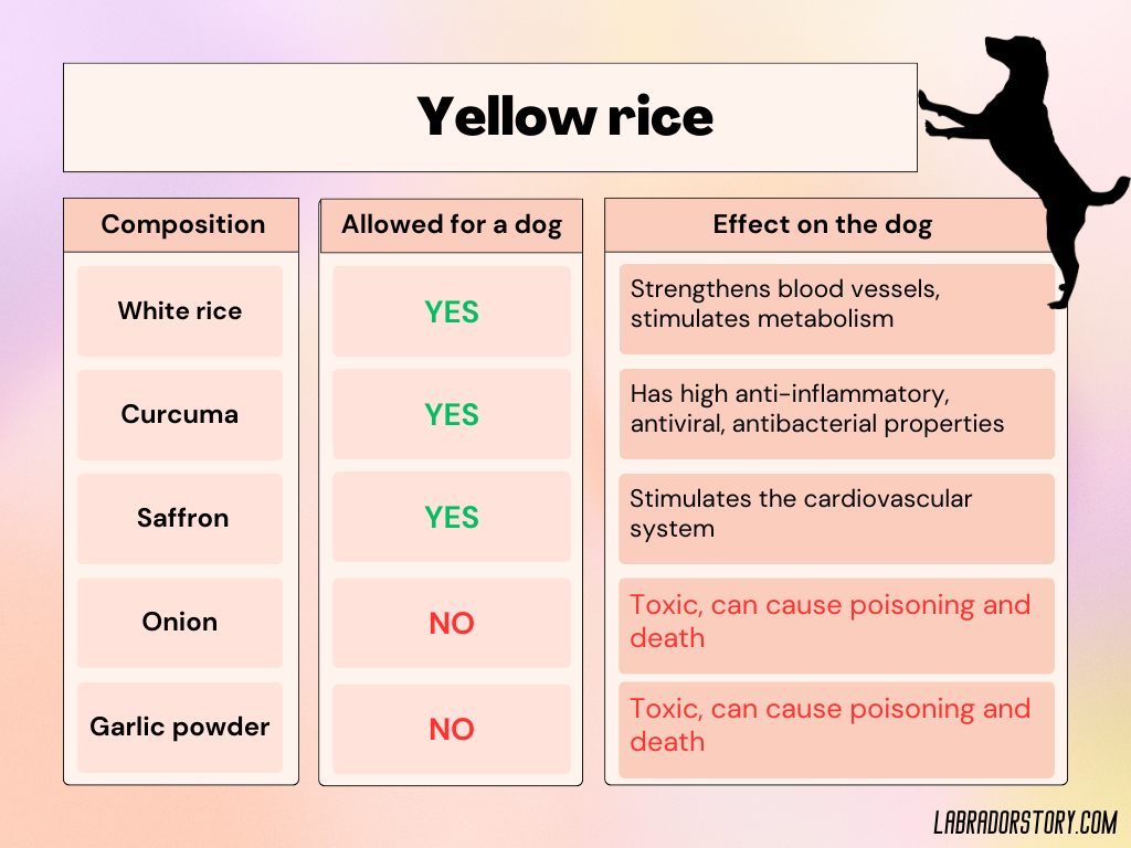Can Dogs Eat Yellow Rice